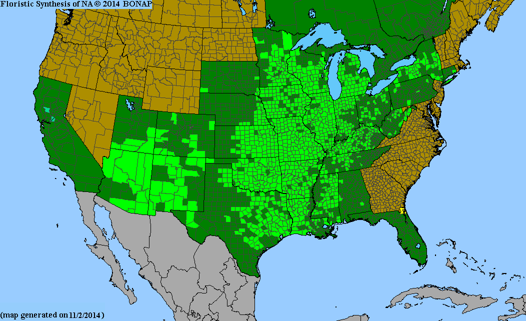 County distribution map of Asclepias tuberosa ssp. interior - Butterfly Milkweed